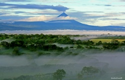 Nebelbänke vor dem Vulkan  (Bild: travel-to-nature, Jonathan Serrano Hernandez)